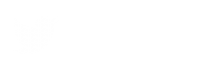 Twitter Tweet